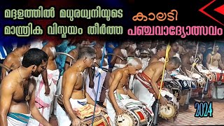 Panchavadyam  ആസ്വാദകരെ ആവേശം കൊള്ളിച്ച് കാലടി പഞ്ചവാദ്യോത്സവം മദ്ദള മുഖം  Kerala M  Viral Cuts [upl. by Dorn]