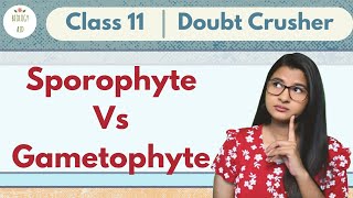 Sporophyte Vs Gametophyte  CLASS 11  Doubt Crusher [upl. by Eahc]