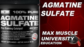 AGMATINE SULFATE Supplement Benefits by Max Muscle Sports Nutrition [upl. by Swigart845]