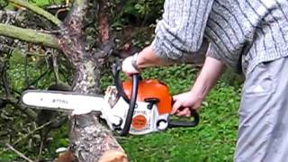 Wycinka drzewa piłą spalinową STIHL MS181 [upl. by Ellis]