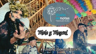 Mole y Mezcal Medley by Vuelo de Notas [upl. by Chivers81]