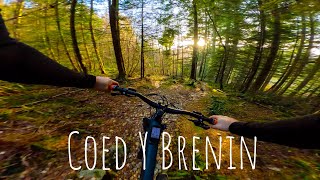 Coed Y Brenin [upl. by Sucramed]