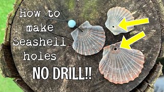 How to put a hole into a shell NO drilling Seashell holes made easy 🐚 [upl. by Ecargyram389]