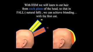 How head shape affects our hair cuts [upl. by Ecniv]