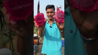 Dragon Fruit cutting shorts farming minivlog aftabvlog shortvideo agriculture aftabshaikh [upl. by Asum846]