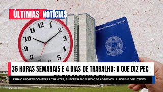 36 horas semanais e 4 dias de trabalho o que diz PEC do fim da escala 6x1 [upl. by Annette]