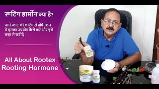 Rooting Hormone for Plants I Rooting Hormone Use I रूटिंग हार्मोन क्या है कैसे उपयोग करें [upl. by Skyler]