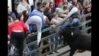 III Toro de San Nicolás en Vitigudino [upl. by Janicki]