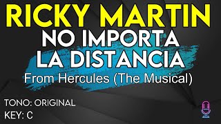 Ricky Martin  No Importa La Distancia Hercules  Karaoke Instrumental [upl. by Kaliope393]