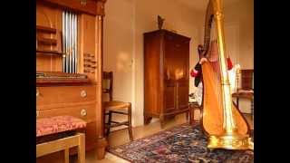 Regina Ederveen classical harpist plays Mazurka by Edmund Schuëcker on harpMOV [upl. by Ezeerb662]