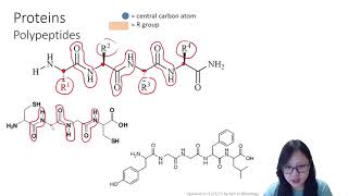 Chapter 23a  Proteins 4 Levels of Structure  Cambridge ALevel 9700 Biology [upl. by Noryak]