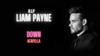 Liam Payne Down Acapella  Vocals Only [upl. by Teik45]