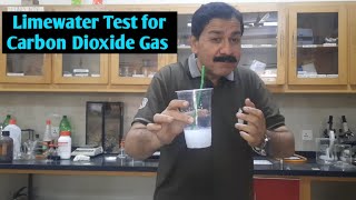 Limewater Test for Carbon Dioxide 🔥  Testing for CO2 Carbon dioxide with Limewater in 2023 Asif [upl. by Oine]