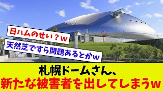 【まさかの事態…】札幌ドームさんの新たな被害者 芝のメンテナンス費用が払えなくなった！？ｗｗ [upl. by Dhumma]