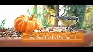 Schöne Herbstferien [upl. by Earazed]