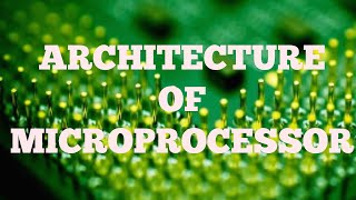 MICROPROCESSOR  PART2  ARCHITECTURE OF MICROPROCESSOR  BSNL JE TTA JTO [upl. by Suoivatnod]