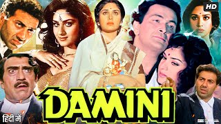 Damini 1993 Full Movie  Sunny Deol  Meenakshi Seshadri  Amrish Puri  Rishi Kapoor Review amp Fact [upl. by Gilbertina]