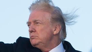 The Truth About Donald Trumps Hair Revealed [upl. by Jacobina967]