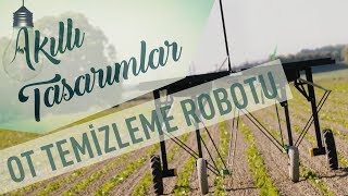 Tarladan Yabani Ot Temizleme Robotu [upl. by Rex]