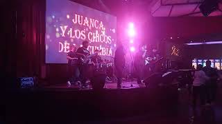 los chicos de cumbia en casino 27 10 24 [upl. by Acirretahs255]