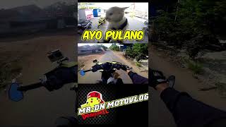 Ditunda miom3kuning denipakel motovlog miom3 [upl. by Naired]