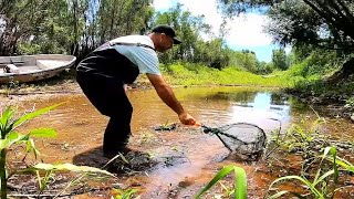 Exploro la isla y recolecto peces para pecera gigante ACUARIO URBANO PESCA URBANA [upl. by Dnalloh]