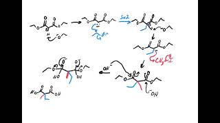 Malonic ester synthesis [upl. by Nereen]