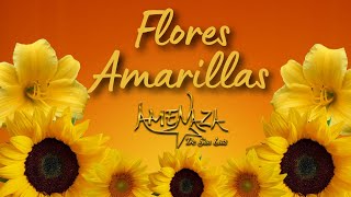 Flores Amarillas  Videoclip Oficial [upl. by Aidua]