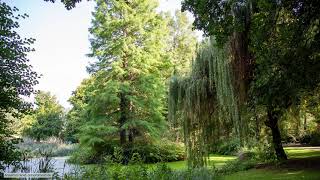 Der Tiergarten in Berlin Grünes Berlin [upl. by Aznaed]