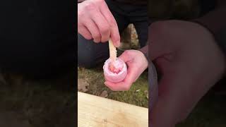 Survival Bushcraft Skills Soap Ki Sardi 🥶survival bushcraft camping outdoors skills shorts [upl. by Rycca]