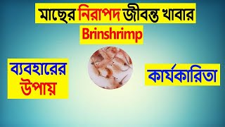 সহজে ব্রাইনশ্রিম্প ডিম ফুটানো ও ব্যবহার। how to hatch brine shrimp eggs the easiest way [upl. by Theona]