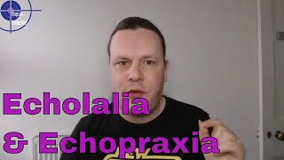 Mimicry and Identity Echolalia and Echopraxia with BPD [upl. by Anaert]