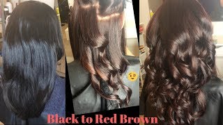 Black to Red Brown Hair Color ft Schwarzkopf Igora Royal [upl. by Monte792]