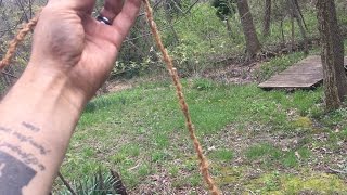 PRIMITIVE CORDAGE FROM TREE BARK [upl. by Sirroned]