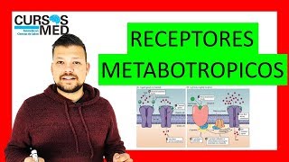 QUE SON LOS RECEPTORES METABOTRÓPICOS ✅ [upl. by Undry]