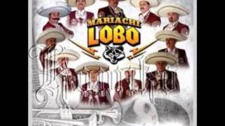 el tarasco mariachi lobo [upl. by Ahsram]