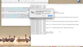 How to Install and Uninstall Java JDK 8 9 in macOS Mac OS X [upl. by Loleta985]