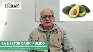 CULTIVO DE AGUACATE Análisis físicoquímico de suelos y recolección de muestras parte 1 [upl. by Elita167]