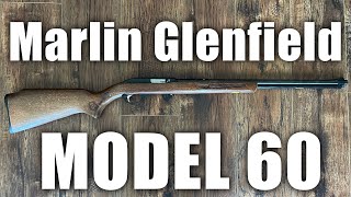 Marlin Glenfield Model 60 The Iconic Squirrel Stock Rifle  Full Documentary [upl. by Nohsyt]