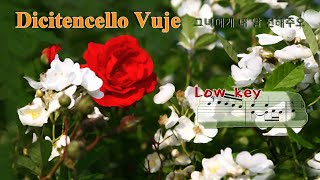 Dicitencello Vuie  Low Ita amp Kor lyrics ▶ 그녀에게 내 말 전해주오 [upl. by Tama]