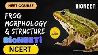 Frog Morphology  NEET NCERT Biology Structural Organisation In Animals [upl. by Deerc781]