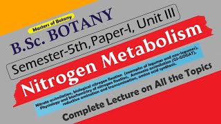 BSc Botany 5th Semester  Paper I Unit III Nitrogen Metabolism  Complete Lecture [upl. by Ettenhoj]