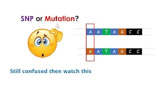 Difference between SNP and Mutation Clear the differences between two [upl. by Latisha618]