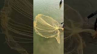 Net Catching Videos vs Rod Fishing Whats Best for BIG Catches [upl. by Tifanie]