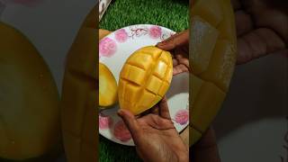 Style Cutting Of Mango  food cooking foodie recipeideas mango mangorecipe shorts shortsfeed [upl. by Eiramannod]