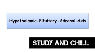 Hypothalamus pituitary Adrenal AxisHPA axis HumanphysiologyEndocrinesystemAnimation [upl. by Anaiek637]