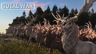 Empire vs Norsca  Part 2  Massive Battle  Total War WARHAMMER III  cinematic battle [upl. by Hras]