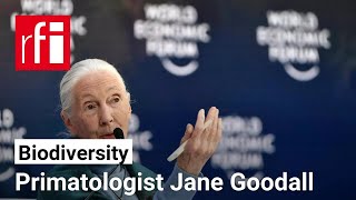 Primatologist Jane Goodall warns ‘The world is a mess’ ahead of COP16 • RFI English [upl. by Wier]