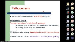 Lecture 3 Pathology of Pancreatitis Dr Akbar Shah [upl. by Anoerb]