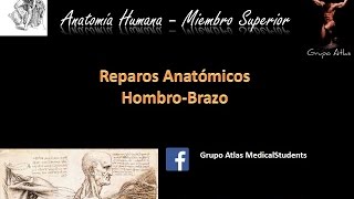 Miembro superior Reparos anatomicos 1  Grupo Atlas RRG [upl. by Raphael]